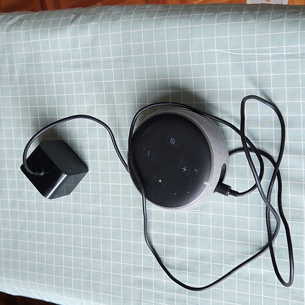 Amazon Alexa (Needs a converter)